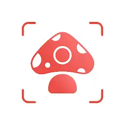 Picture Mushroom – Mushroom ID Premium 2.9.19 (Unlocked apk)