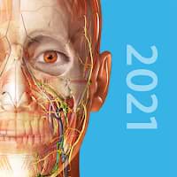 Download Human Anatomy Atlas 2021 Full 2021.1.68 for Free