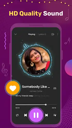 Offline Music Player Premium apk
