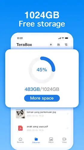 Terabox Premium apk