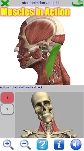 Visual Anatomy 2 Mod apk